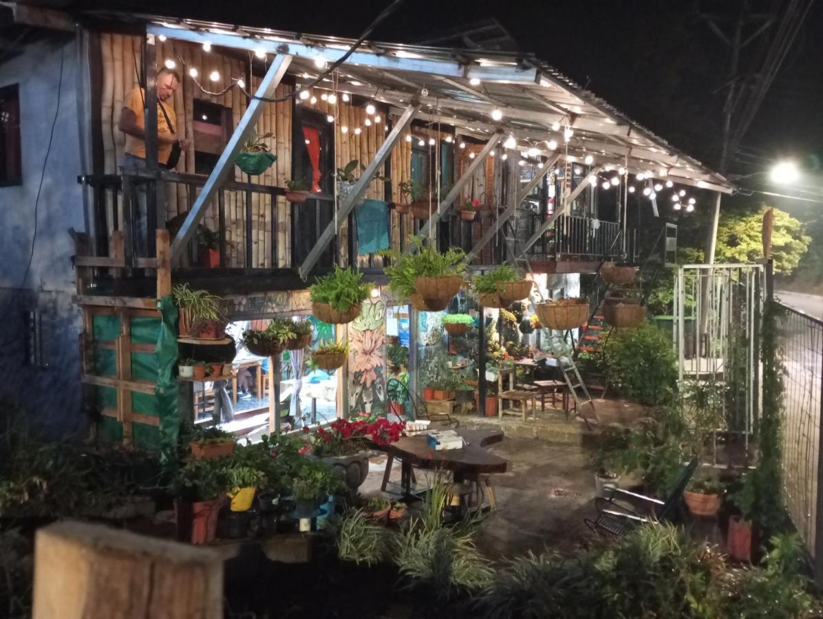 Casa Tranquilo Hostel Monteverde 외부 사진